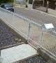 Dogs Go Back to Barking Through Fence After Opening Gate