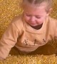 Girl Going Down Slide Has Rough Landing in Corn
