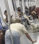 A Man and a Dog Converse On The Metro
