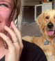 Woman pretends to be on the phone while using her dog\'s favorite words
