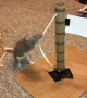 Bean the Rat Completes a Mario Agility Course