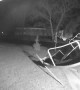 Wind-Swept Trampoline Trashes a Car