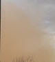 Dust Storm Moves in on Chandler, AZ