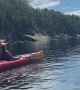 Baby Seal Visits Kayakers