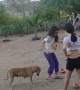 Pup Helps Kids Jump Rope