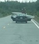 Car Driving on Road with Kayak in Back Seat