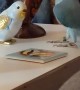 Zeus the Parrot Flirts with Porcelain