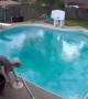 Little Dog Gets Pushed Into Pool