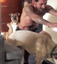 Dogs Want To Join The Workout