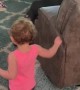 Baby Giggles When Chased by Great Dane Puppy Klaus