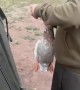 Fisherman Catches Duck