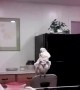 Caesar the Crazy Parrot