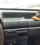 Miniature Pinscher Goes Haywire at Windshield Wipers