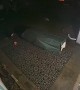 Dog Bolting After Bunny Causes Owner to Fall on Slick Patio