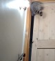 Raccoon Squeezes Through Barely Open Door