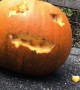 Chipmunk is Master Pumpkin Carver