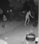 Doorbell Cam Catches Candy Thief in the Act