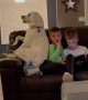 Labrador Sits With Kiddos on Couch