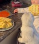 A Baby and a Kitty Share Waffles