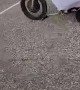 Unicorn Stunts on a Drift Trike