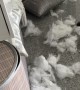 Dog is Proud of its Messy Work