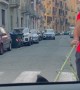 Rottweiler Notices Driver and Jumps on to the Car