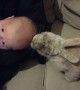 Baby and Bunny Become Buddies