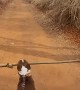 Dog Finds the Best Stick Ever