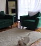 Good Dog Helps Mom With Rug