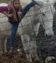 Daughter Climbs on Mules