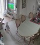 Grandfather Tries to Save Kid From Falling Christmas Tree