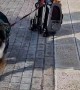 Dog Pulls Cats Along in Rolling Backpack