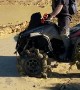 ATV Falls Over in Mud Puddle