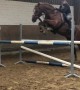 Jumping Horse Sends Rider Flying