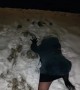Woman Falls in Snow Walking Home From Christmas Party