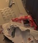 Naughty Dog Eats Christmas Presents Left on Dining Table