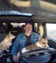 Dog Takes a Turn at Driving