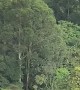 Suspected UFO Spotted in Colombia