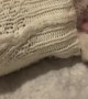Kitten Seems Stuck in Sweater Sleeve