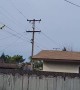Mylar Balloon Luckily Slips Through Powerlines
