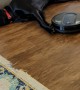 Tired Dog Will Not Move for Roomba