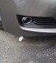 Lost Kitten Found Hiding Inside Car