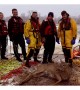 Deer rescued after falling through ice of frozen river