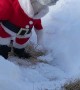Bella the Dog Goes for a Festive Toilet Break