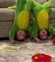 Twins in dinosaur costumes love goofing around 