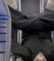 Flight Attendant Caught In Bat Form