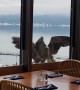 Grappling Geese Spotted Outside Restaurant Window