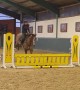 Girl Falls From Horse During Showjumping Training