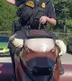 Ex-Police Officer Rides Mechanical Bull