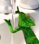 Chameleon Washes its Hands in a Sink